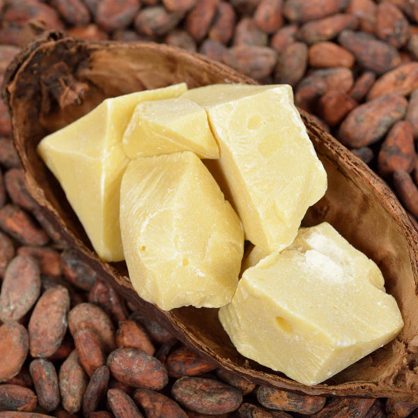 Theobroma Cacao